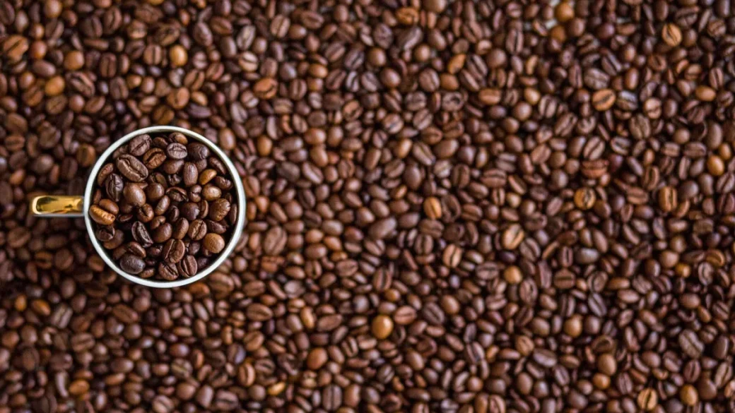 A lineup of espresso-based milk drinks from latte to cortado