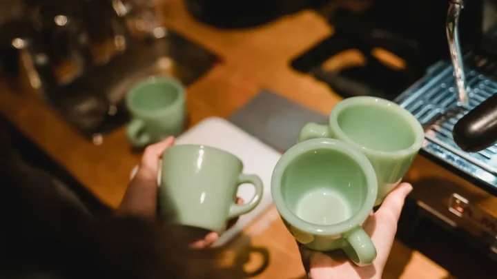 Breville Barista Express vs Barista Pro